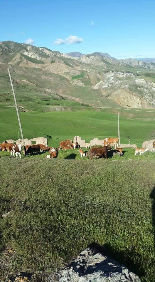 Kağızman Taşburun Köyü Resimleri 2