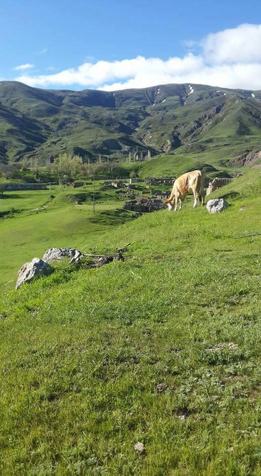 Kağızman Taşburun Köyü Resimleri 6