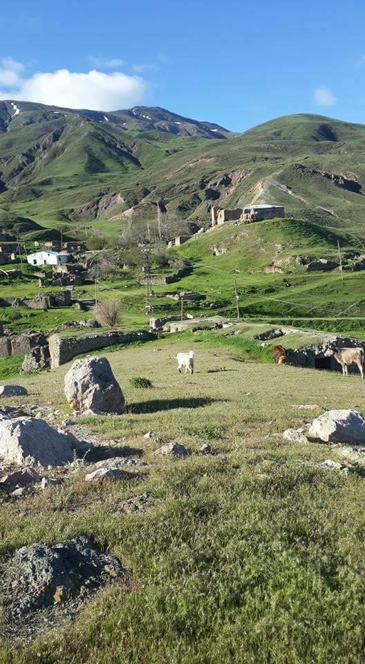 Kağızman Taşburun Köyü Resimleri 8
