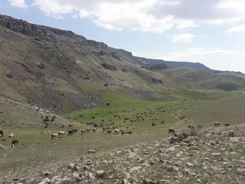 Kağızman Yağlıca Köyü Resimleri 1