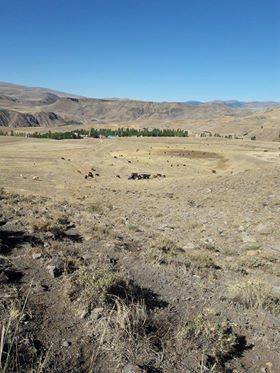 Kağızman Yalnızağaç Köyü Resimleri 2