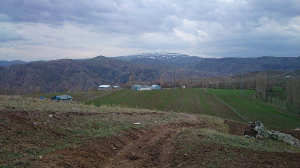 Kağızman Yalnızağaç Köyü Resimleri 5