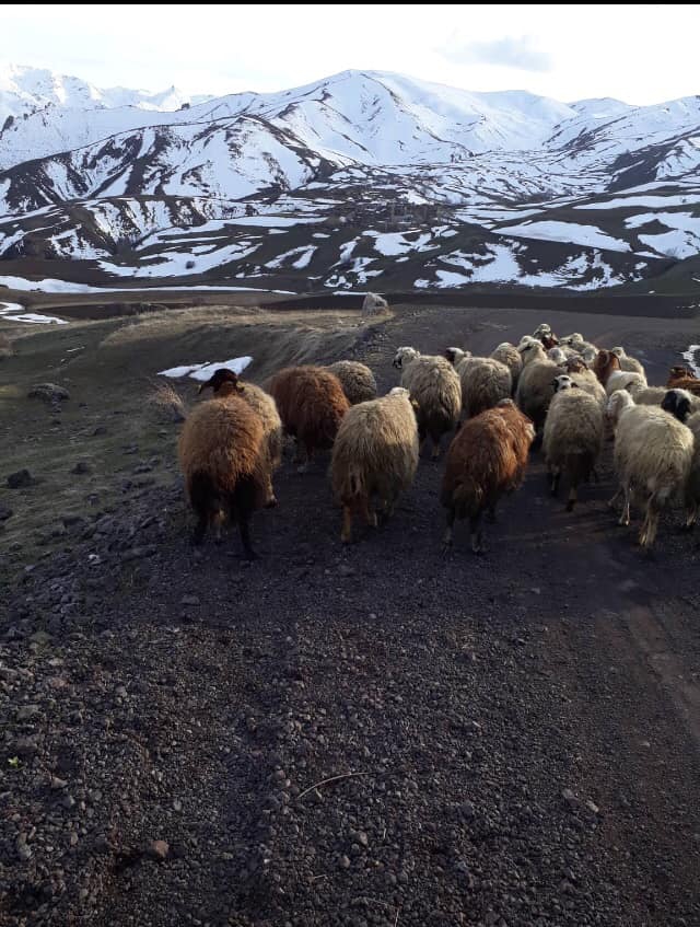 Kağızman Yankıpınar Köyü Resimleri 3