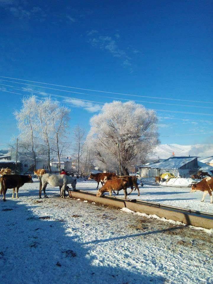 Kağızman Yenice Köyü Resimleri 3