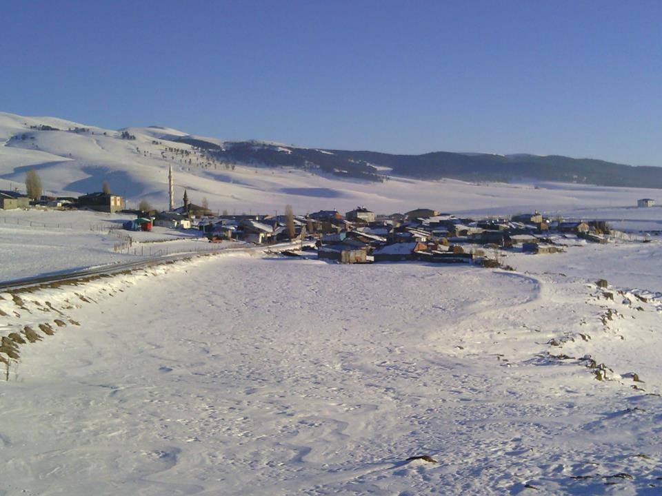 Sarıkamış Alisofu Köyü Resimleri 1