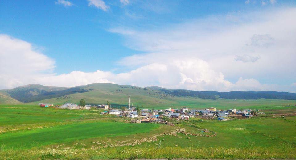 Sarıkamış Alisofu Köyü Resimleri 2