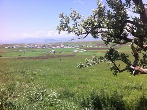 Sarıkamış Altınbulak Köyü Resimleri 4