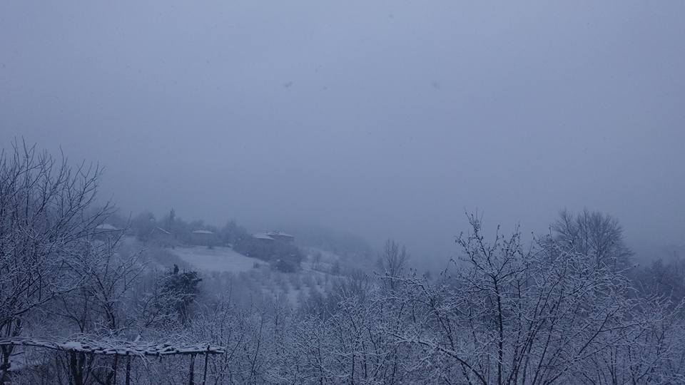 Alaplı Alioğlu Köyü Resimleri 1