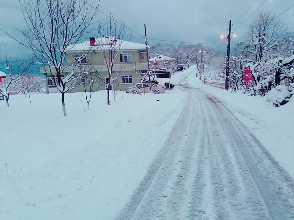 Alaplı Alioğlu Köyü Resimleri 22