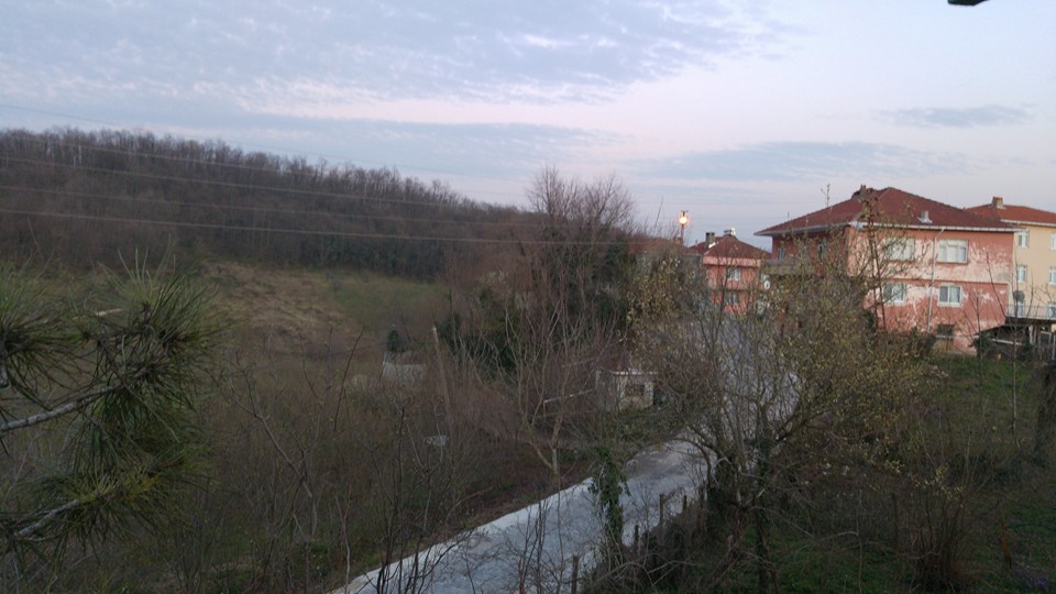 Alaplı Alioğlu Köyü Resimleri 3