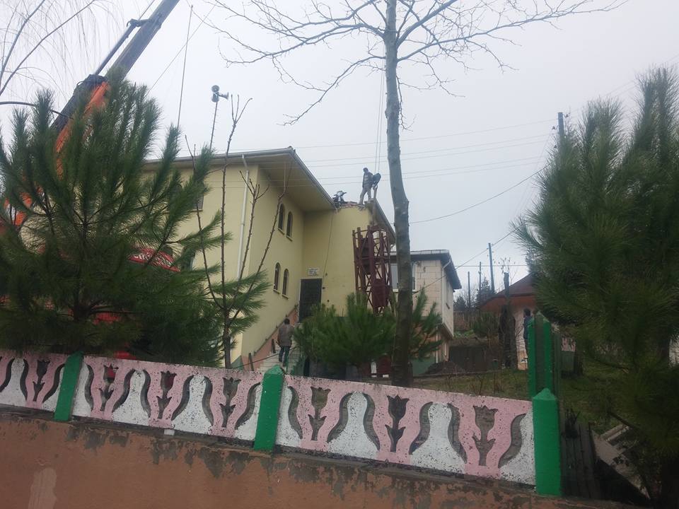 Alaplı Alioğlu Köyü Resimleri 30