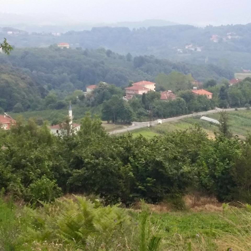 Alaplı Alioğlu Köyü Resimleri 44