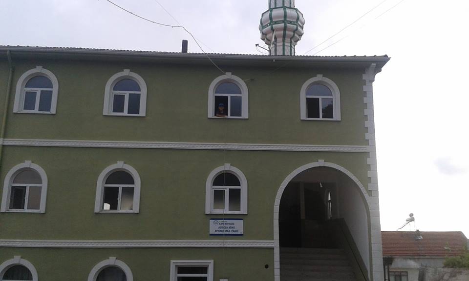 Alaplı Alioğlu Köyü Resimleri 8