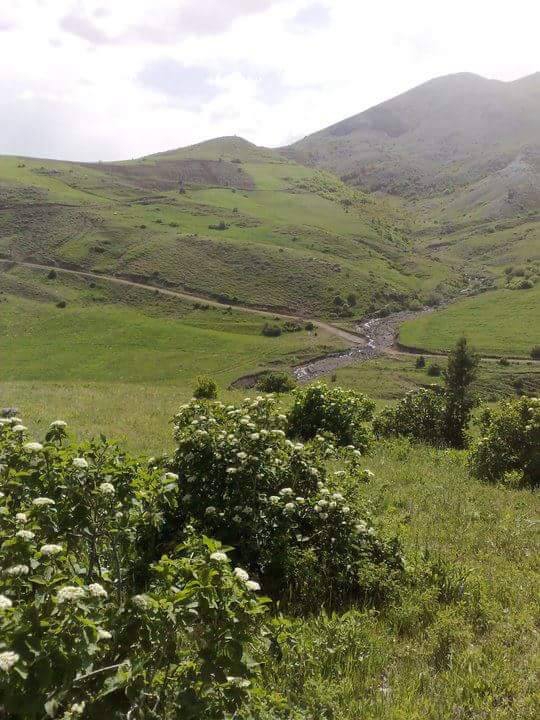 Sarıkamış Balabantaş Köyü Resimleri 4