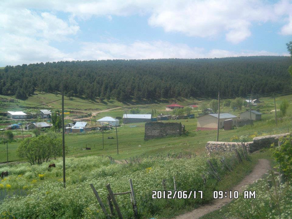 Sarıkamış Boyalı Köyü Resimleri 16