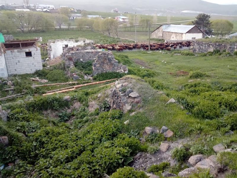 Sarıkamış Boyalı Köyü Resimleri 19