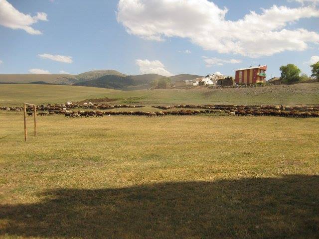 Sarıkamış Bozat Köyü Resimleri 1