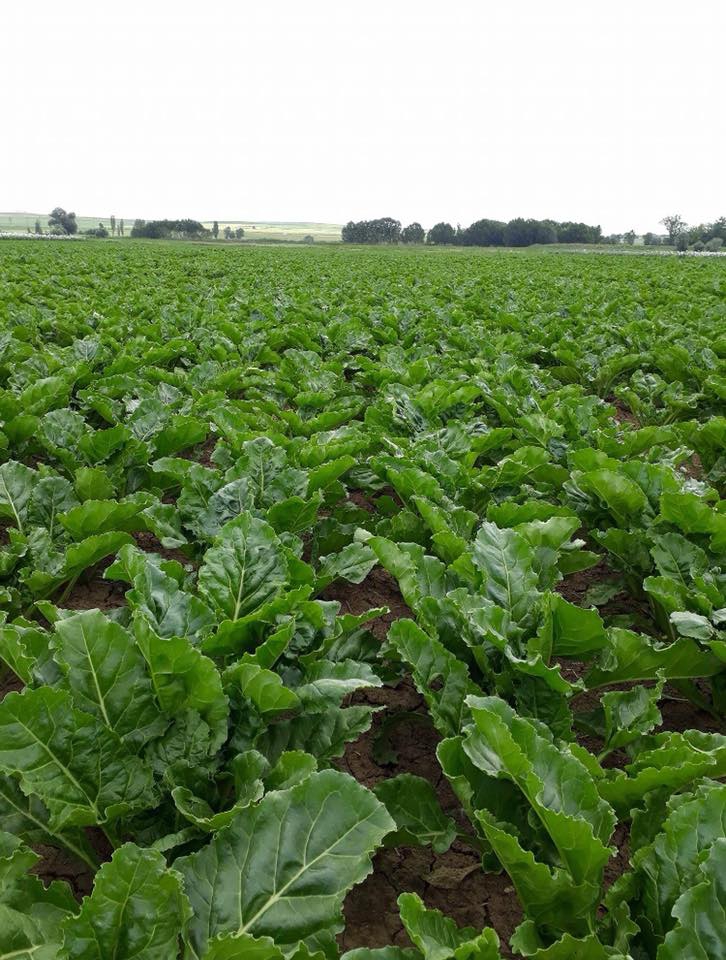 Akören Ağalar Köyü Resimleri 1