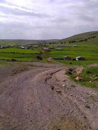 Sarıkamış Çamyazı Köyü Resimleri 16