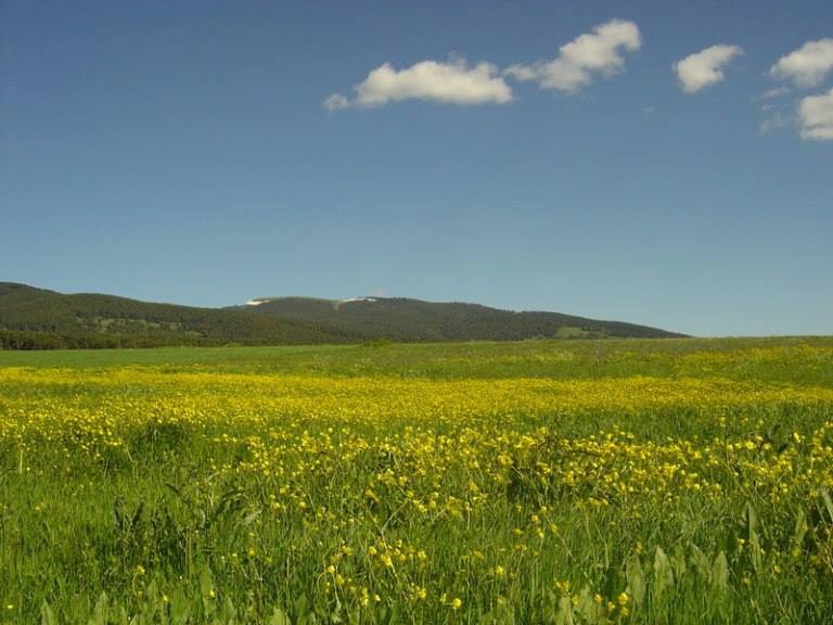 Sarıkamış Eşmeçayır Köyü Resimleri 1