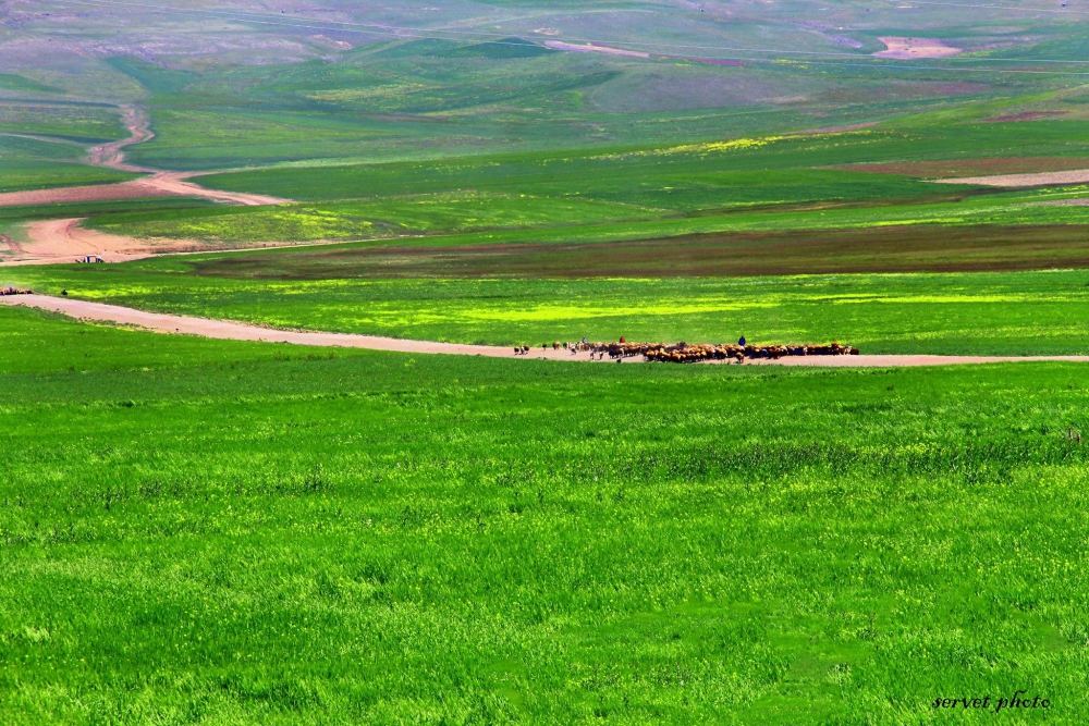 Sarıkamış Eşmeçayır Köyü Resimleri 13