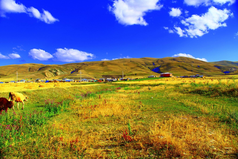 Sarıkamış Eşmeçayır Köyü Resimleri 14