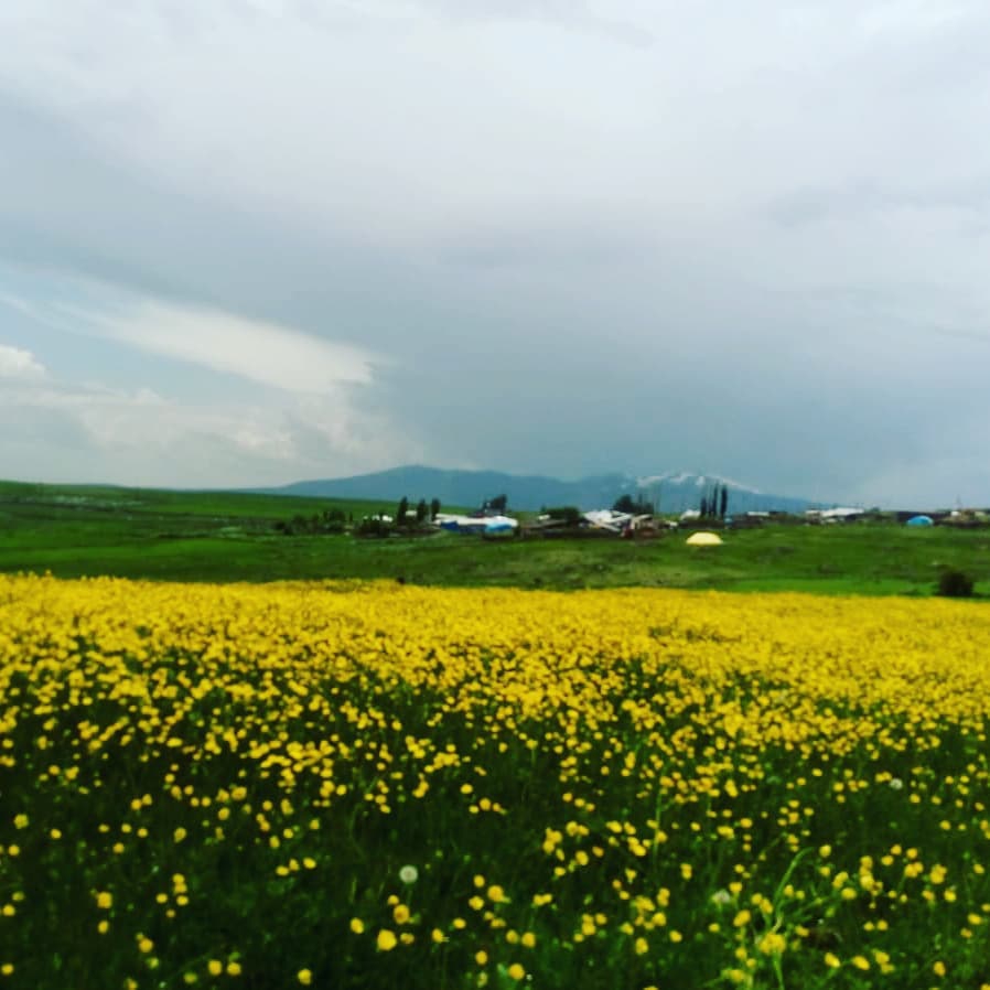 Sarıkamış Gecikmez Köyü Resimleri 8