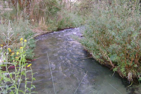 Gürün Yazyurdu Köyü Resimleri 16