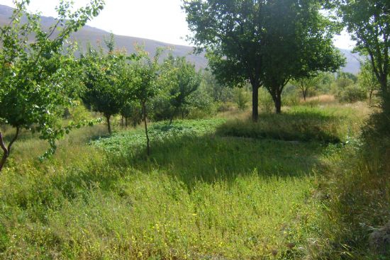 Gürün Yazyurdu Köyü Resimleri 17