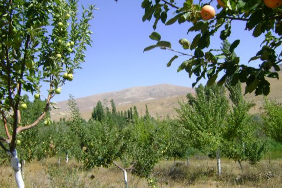 Gürün Yazyurdu Köyü Resimleri 18