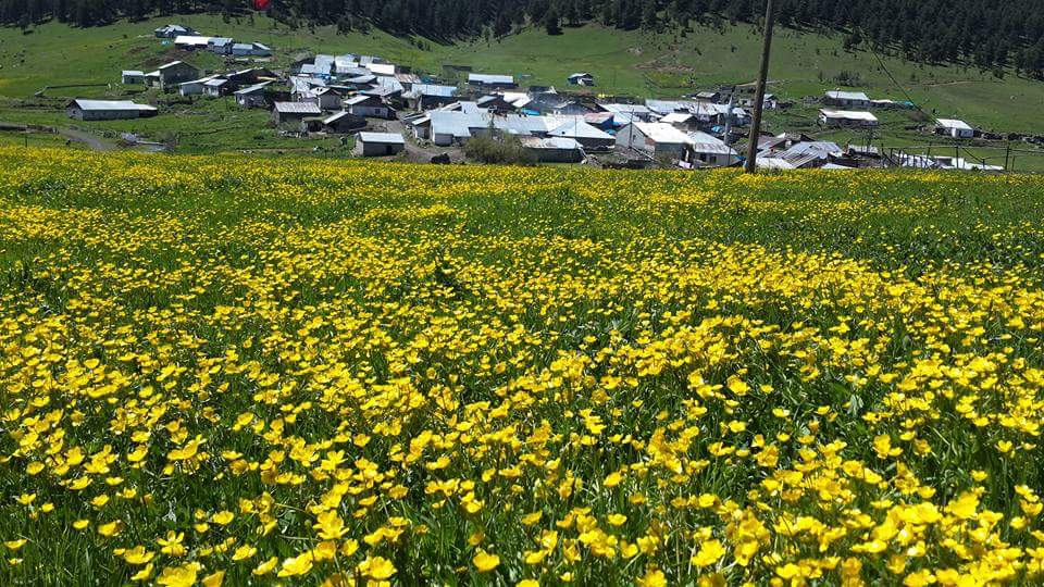 Sarıkamış Handere Köyü Resimleri 5