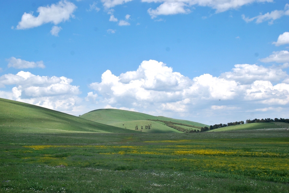 Sarıkamış Handere Köyü Resimleri 6