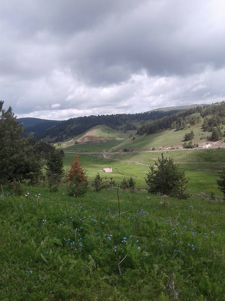 Sarıkamış Handere Köyü Resimleri 7