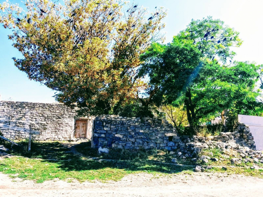 Sarıkamış Karaköse Köyü Resimleri 18