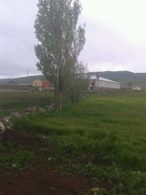 Sarıkamış Karaköse Köyü Resimleri 6