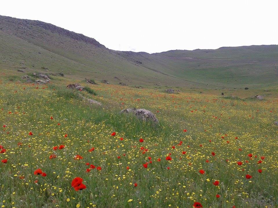Sarıkamış Karaköse Köyü Resimleri 9