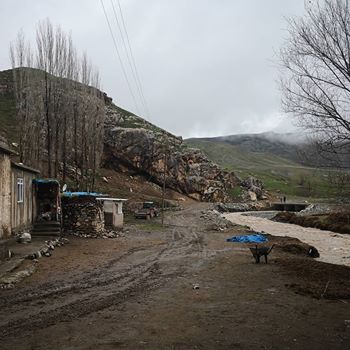Sarıkamış Kayalıboğaz Köyü Resimleri 1