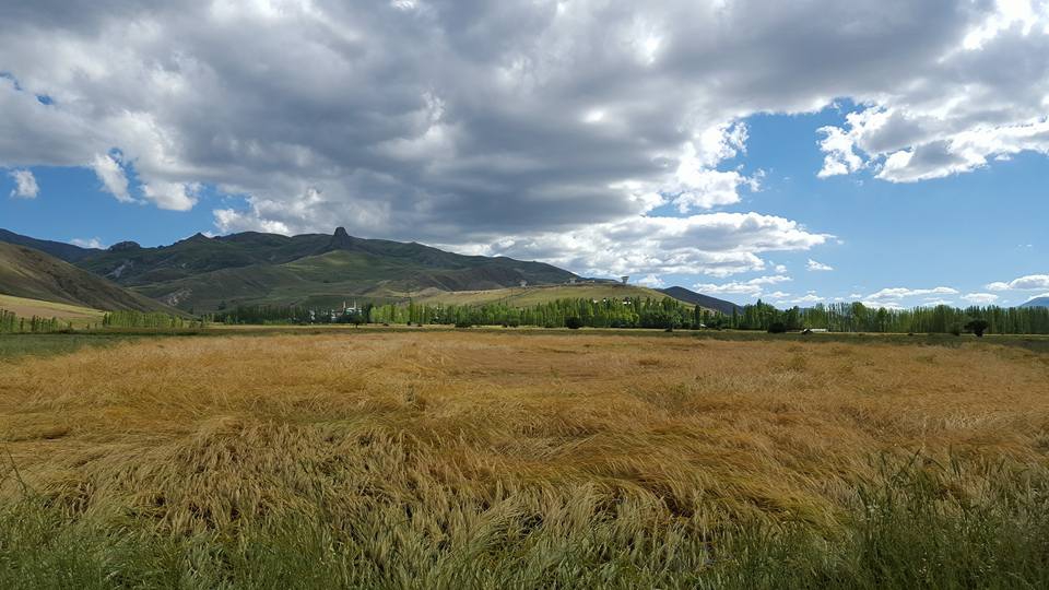 Sarıkamış Kazıkkaya Köyü Resimleri 2