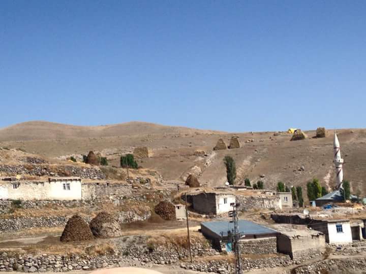 Sarıkamış Kozan Köyü Resimleri 3