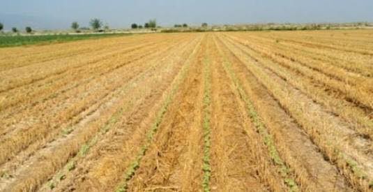 Akören Kayasu Köyü Resimleri 2