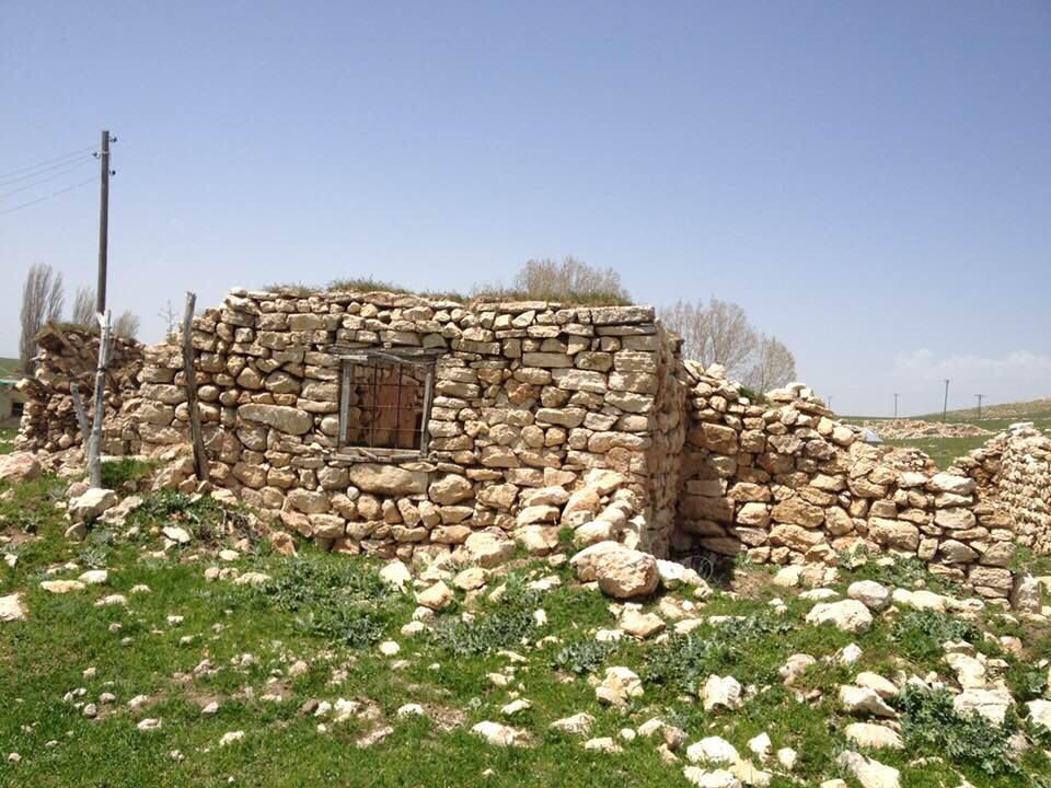 Gürün Yenibektaşlı Köyü Resimleri 14