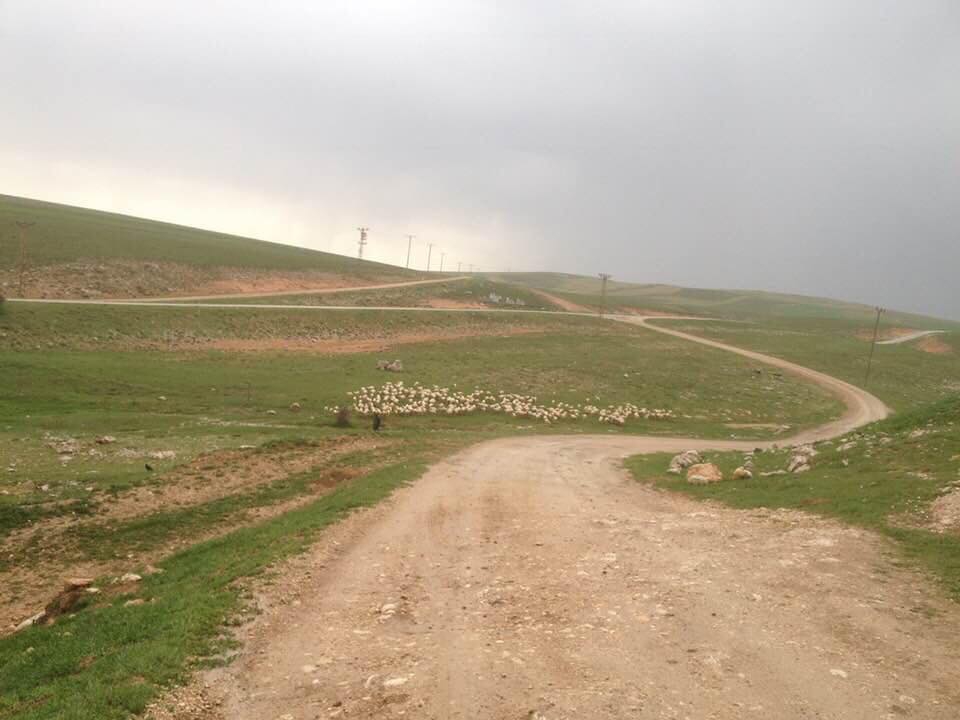 Gürün Yenibektaşlı Köyü Resimleri 6