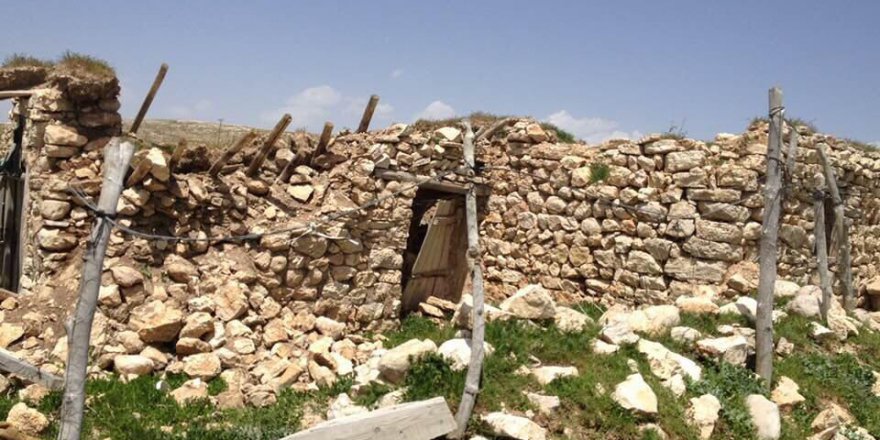 Gürün Yenibektaşlı Köyü Resimleri