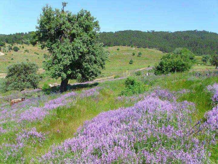 Sarıkamış Sırataşlar Köyü Resimleri 7