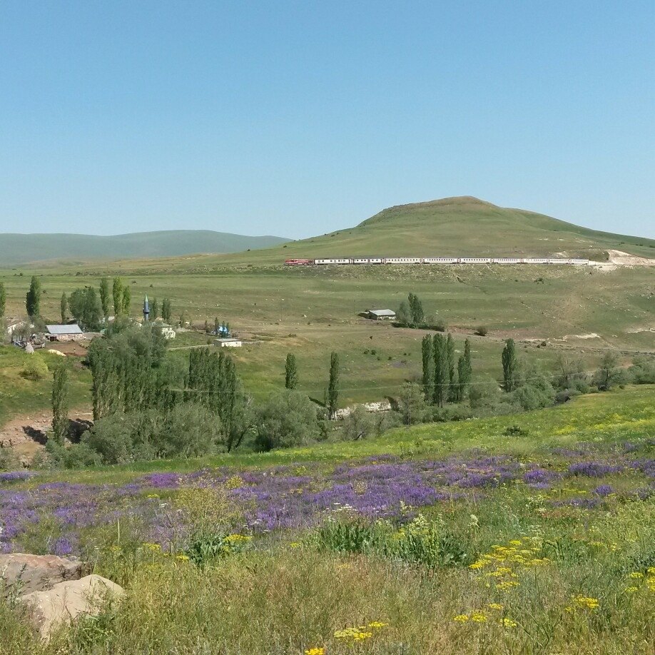 Sarıkamış Sırbasan Köyü Resimleri 1