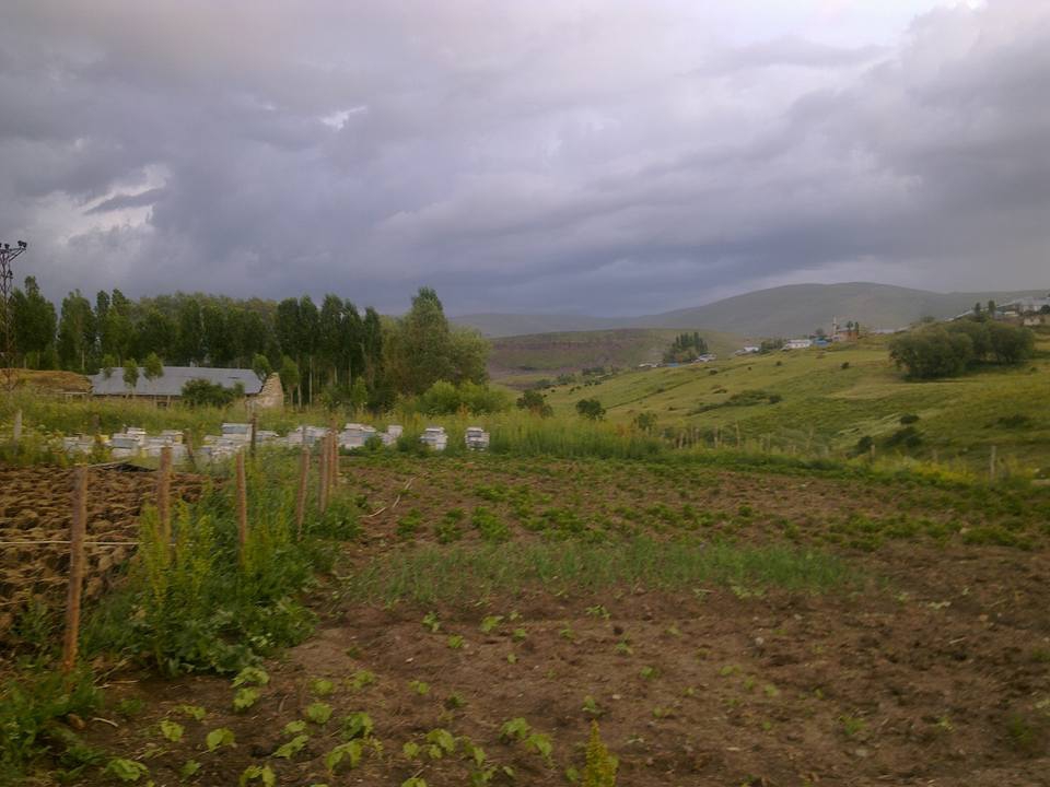 Sarıkamış Sırbasan Köyü Resimleri 13