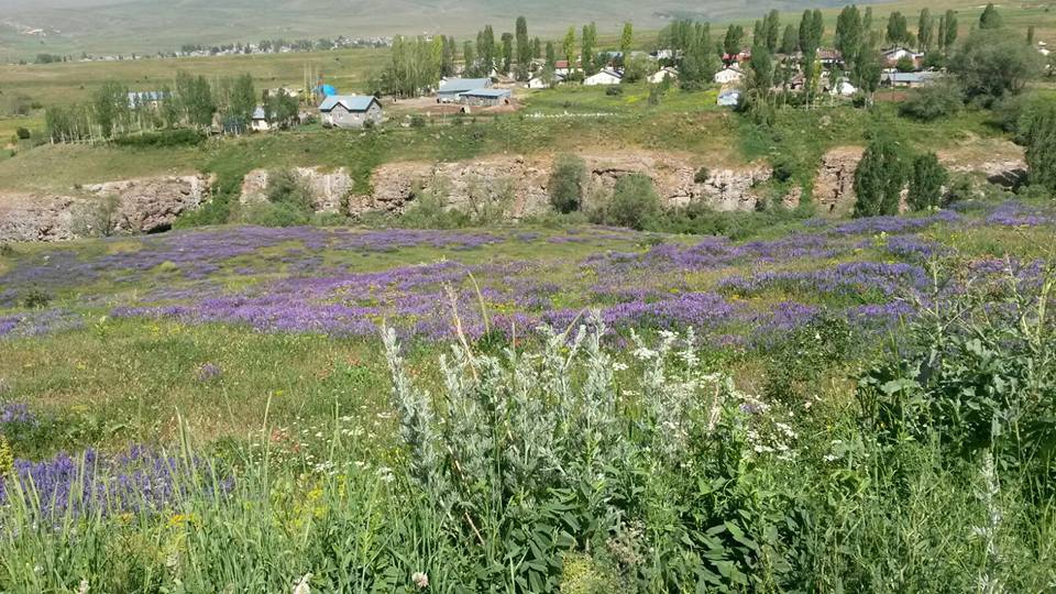 Sarıkamış Sırbasan Köyü Resimleri 7