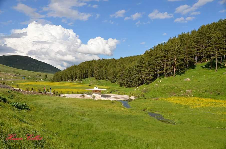 Sarıkamış Sırbasan Köyü Resimleri 9
