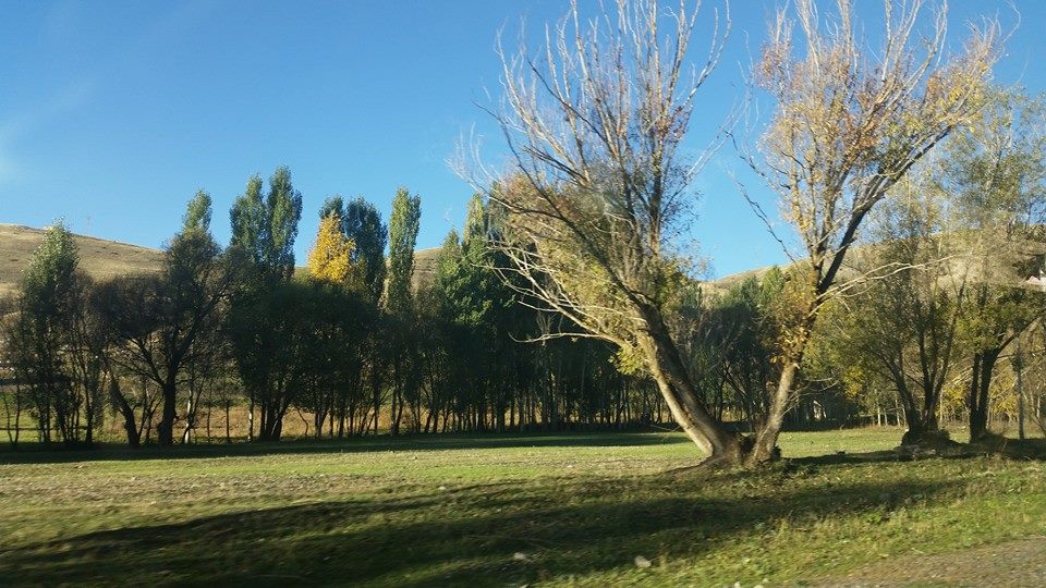 Sarıkamış Süngütaşı Köyü Resimleri 5