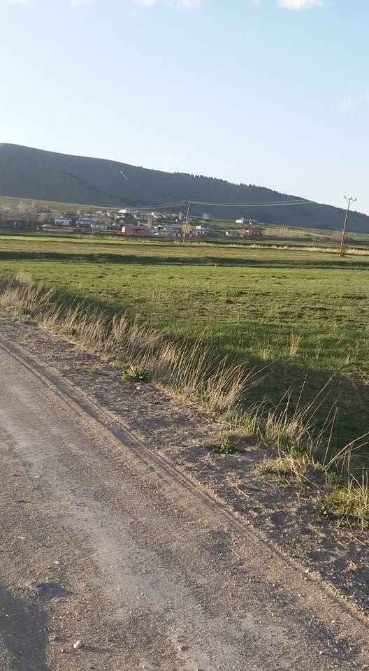 Sarıkamış Şehithalit Köyü Resimleri 6